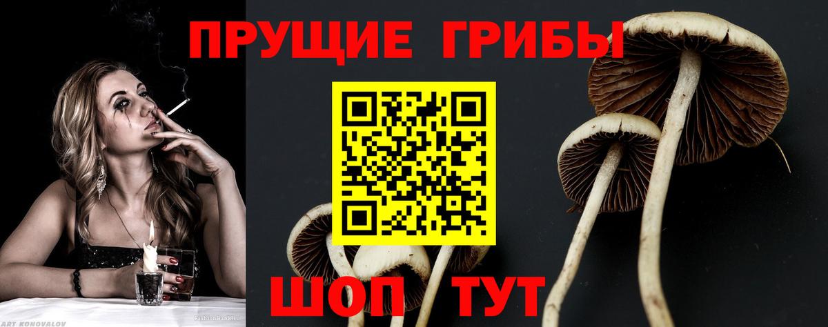 Псилоцибиновые грибы MAGIC MUSHROOMS Печора