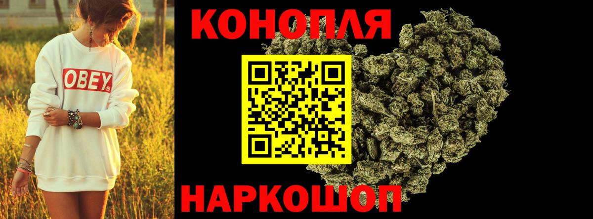 Конопля гибрид Печора
